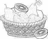 Still Basket Life Fruit Drawing Fruits Vegetables Step Apples Getdrawings Wattled Contours Sweet sketch template