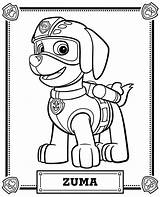 Paw Patrol Coloring Boys Pages sketch template