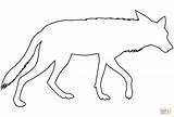 Coyote Coloring Outline Pages Drawing Printable Supercoloring Categories sketch template
