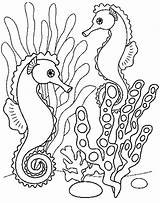 Coloriage Animais Animaux Hippocampe Marin Colorat Pintar Konik Morski Imagensemoldes Morskie Kolorowanki Caballito Koniki Carle Caluti Imagini Ausmalbilder Malvorlagen Ausmalen sketch template