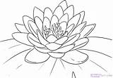 Water Coloring Lily Getcolorings Color sketch template