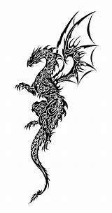 Tribal Chest Dragons Tatuaggio Drago Tatuaggi Draghi Clipartbest Celtic Tribali Spalla Gryphon sketch template