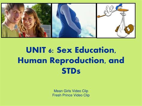 ppt unit 6 sex education human reproduction and stds powerpoint