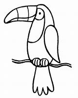 Toucan Coloring Bird Kids Pages Drawing Outline Printable Clipart Sam Sheets Sheet Cartoon Cliparts Digi Tucan Template Stamp Clip Rainforest sketch template