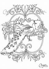 Coloring Pages Peacock Adults Colouring Bird Printable Animal Feather Animals Imprimer Sheets Print Adult Mandala Made Color Ausmalbilder Choose Board sketch template