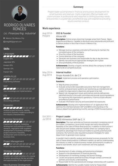 auditor resume samples  templates visualcv