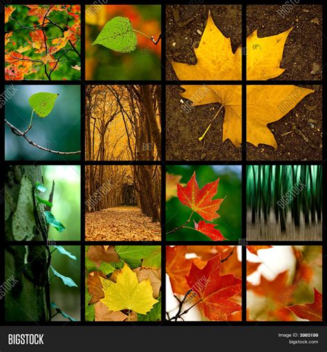 autumn theme image photo  trial bigstock