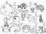 Sea Coloring Pages Under Ocean Printable Animal Print Drawings Animals Kids Sheets Toddlers Visit Preschool Aquatic sketch template