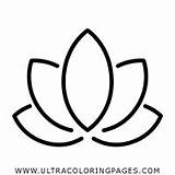 Loto Lotus Harmony Bloom Página Belleza Masaje Bienestar Iconfinder Stampare Ultracoloringpages sketch template