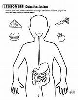 Digestive System Maze Kindergarten Worksheets Science Preschool Worksheet Coloring Body Food Activity Grade 1st Human School Lessons Path Organs Hungry sketch template