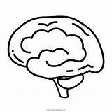 Brain Coloring Pages sketch template