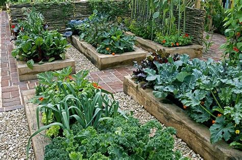 incredible vegetable garden ideas treescom