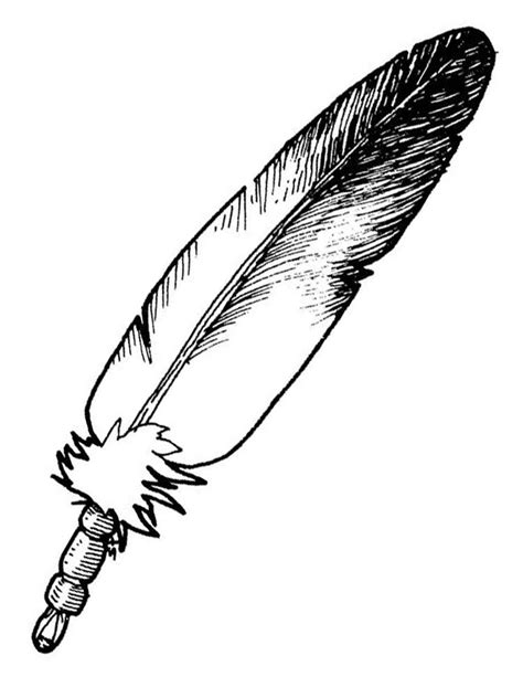 peacock feather coloring page