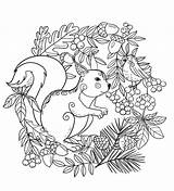Squirrel Coloring Bird Printable Pages Description sketch template