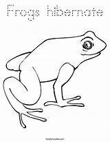 Coloring Hibernate Frogs Verte Grenouille Est La Frog Built California Usa Pages Twistynoodle Noodle sketch template
