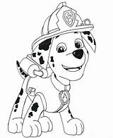 Patrol Paw Colorear Linea Chase Everest Coloringhome Firetruck Birthdayprintable Colouring Greeting 2nd sketch template