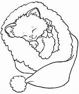 Coloring Pages Kitten Printable Cute Puppy Christmas Sheets sketch template
