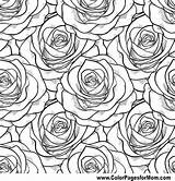 Coloring Pages Flower Patterns Drawing Flowers Wallpaper Pattern Garden Adult Roses Adults Rose Printable Designs Silhouette Color Butterflies Royalty Getdrawings sketch template