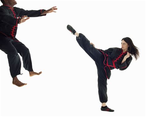 The Facts About The Martial Art Of Hung Gar Kung Fu