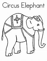 Elephant Coloring Circus Color Getcolorings sketch template