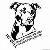 Coloring4free Pitbull sketch template
