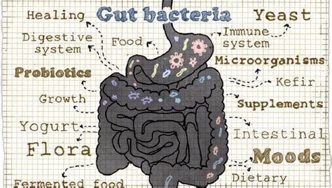 easy ways  improve  microbiome  gut health