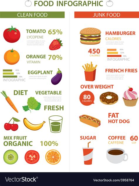 healthy  junk food infographic royalty  vector image