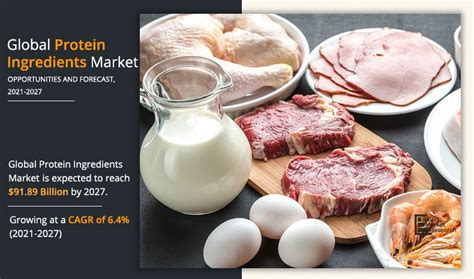protein ingredients market size share growth forecast