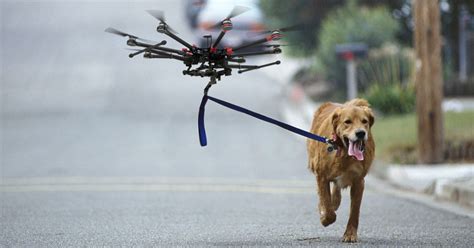 barq  drone dog walking service nyc insidehook