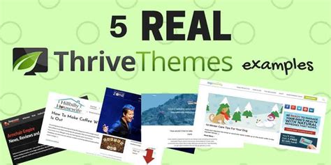 5 Real Websites Using Thrive Themes In 2022
