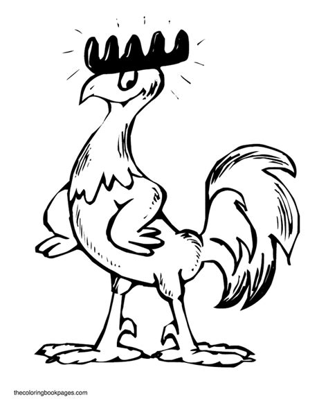 rooster coloring pages coloring home