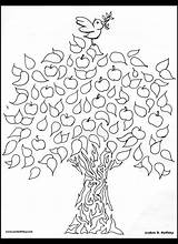 Coloring Tree Life Pages Tu Shevat Kids Celtic Printable Bshvat Color Shvat Jewish Getcolorings Ann Thejewishlady sketch template