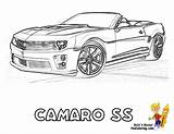 Coloring Camaro Pages Chevrolet Chevy Car Corvette Box Porsche Cars Camero Clipart Ss Printable Sheets Kids Coloriage Library Gusto Popular sketch template