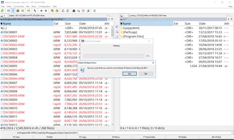 recover rapid files  dropbox ransomware netportorg