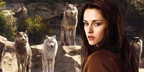 Twilight Bella Is Part Werewolf Fan Theory Explained