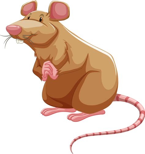rat clipart lab rat rat lab rat transparent