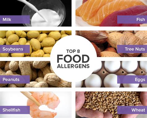 Eight Food Allergens Food Ideas