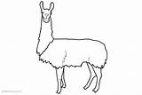 Llama Coloring Pages Clip Simple Kids Printable sketch template