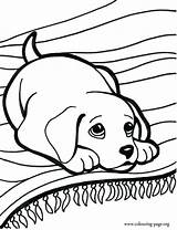 Coloring Dog Weiner Pages Wiener Getcolorings Printable sketch template