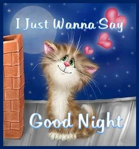 i just wanna say goodnight quotes cute quote night goodnight good night goodnight quotes good