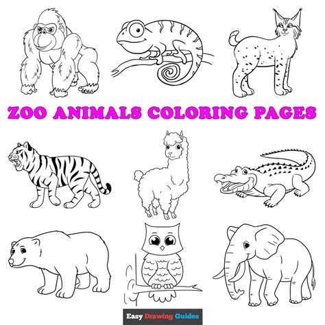 printable zoo animal coloring sheets printable coloring pages porn