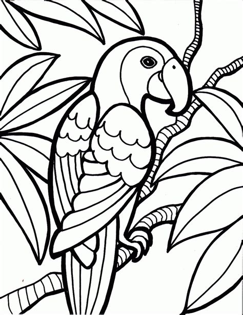 parrot coloring pages kidsuki