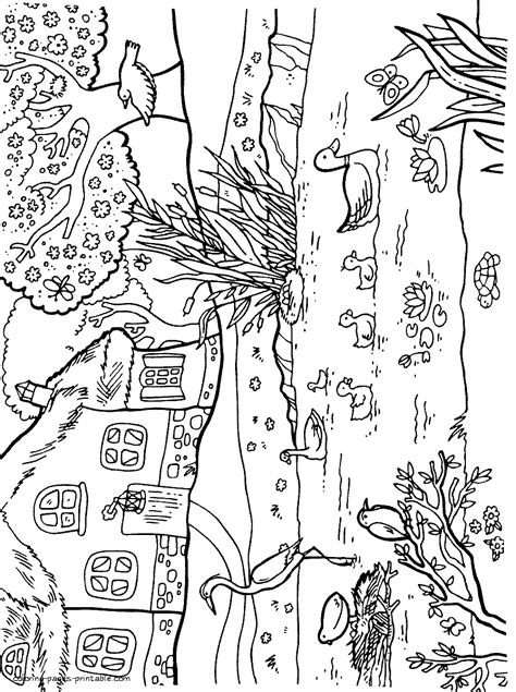 spring animals coloring pages coloring pages printablecom