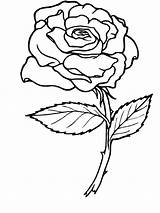 Coloring Pages Roses Printable Adult Heart Rose Popular sketch template