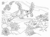 Coloring Pages Reef Coral Barrier Great Turtle Drawing Sea Ocean Printable Google Coloriage Realistic Search Color Christmas Depression Kids Hawaiian sketch template