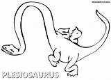Plesiosaurus Plesiosaur Colorings sketch template