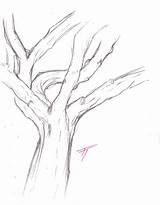 Trunk Tree Drawing Coloring Leaves Drawings Sketch Getdrawings Prints Deviantart sketch template
