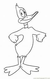Duck Daffy Coloring Pages Printable Baby Step Yosemite Sam Cartoon Outline Donald Clipart Hunting Color Cartoons Ducks Library Clip Online sketch template