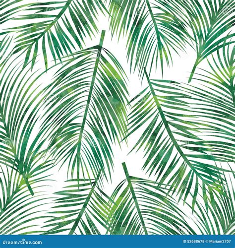 palm leaf seamless pattern stock vector illustration  botany