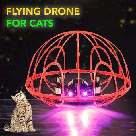 love  surprise  cat  remote controlled  safe cat drone   great